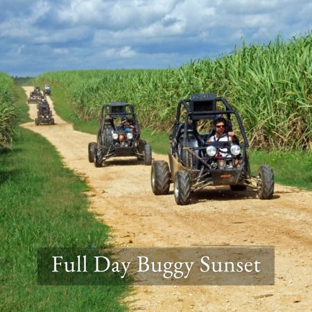 BUGGY SUNSET