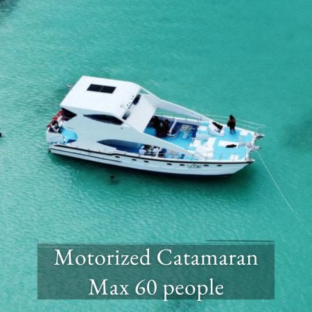 MOTORIZED CATAMARAN