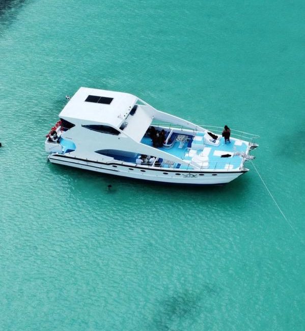 Motorized catamaran natural pool