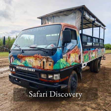 SAFARI DISCOVERY