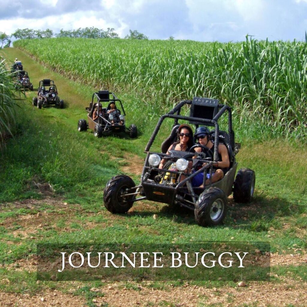journée buggy à travers les champs de Canne à Sucres de la République Dominicaine