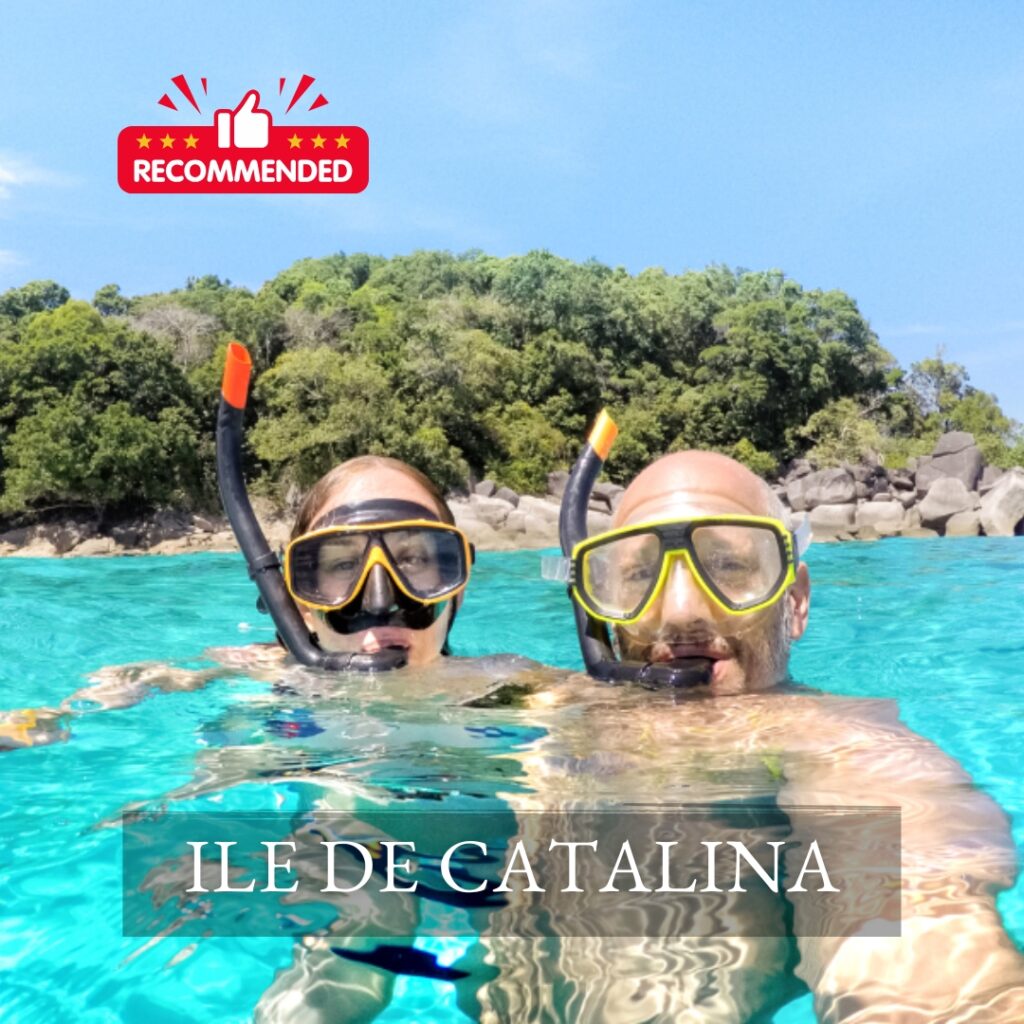 personnes dans l'eau turquoise de l'ile de Catalina faisant du snorkeling avec palmes, masques tubas, excursion recommandé