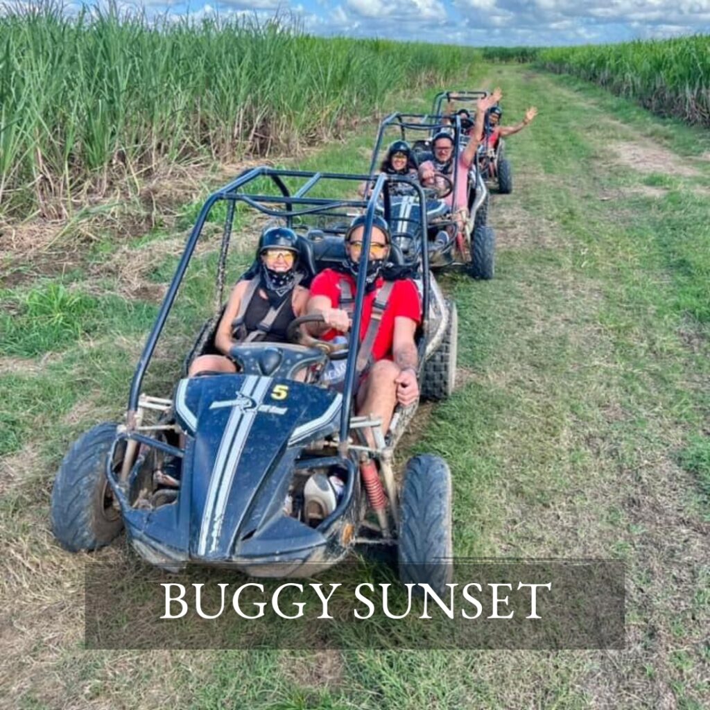 buggy day through the sugarcane fields of the Dominican Republic