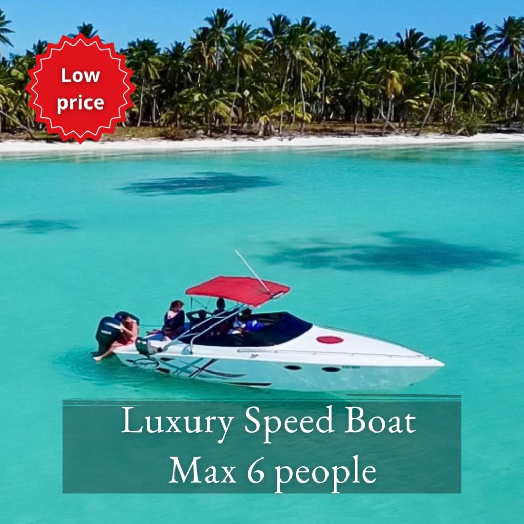 Luxury speedboat for private booking at low price, in front of Las Palmillas beach