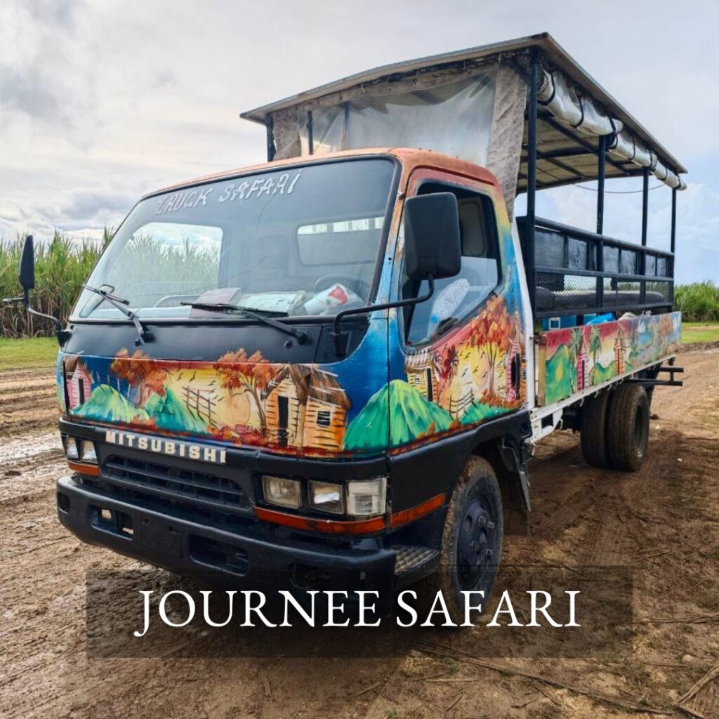 Camion Safari coloré pour une excursion d'une journée à la découverte de la culture dominicaine