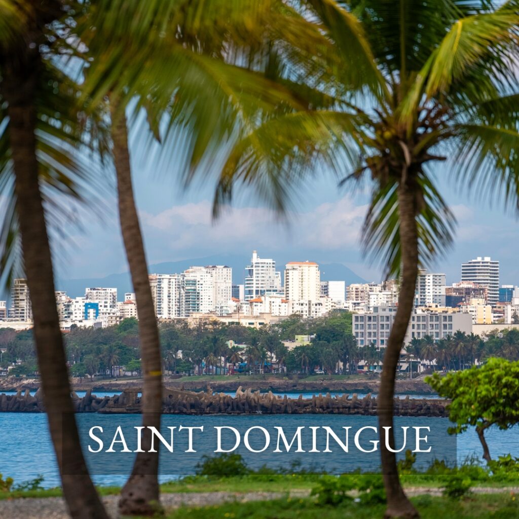 Vue sur Saint Domingue et ses bâtiments, les palmiers au premier plan créer un contraste entre nature et urbanisme
