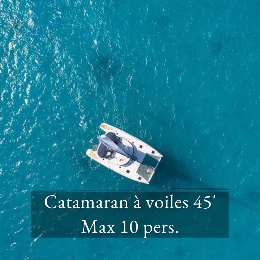 Catamaran à voiles de 45 pieds naviguant en république dominicaine pour bateau privé de 10 personnes