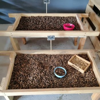 189930392_846390955950878_3609783971058256672_n