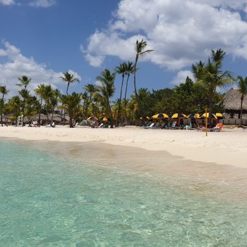 View of Catalina Island’s beach with crystal-clear water, palm trees, and shaded lounge areas — part of the relaxing experience with Quetzal Excursions