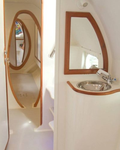 563339_423535861096370_1906041353_n