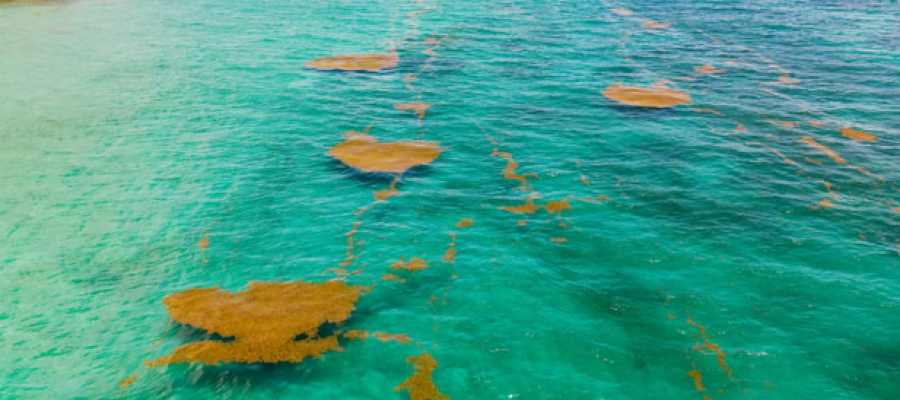 Capture d'écran 2025-09-29 162924