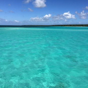 Stunning turquoise water of Las Palmillas natural pool near Saona Island — a highlight of the Saona Economical catamaran excursion by Quetzal Excursions