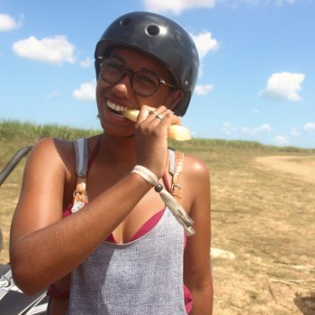 Dégustation canne à sucre