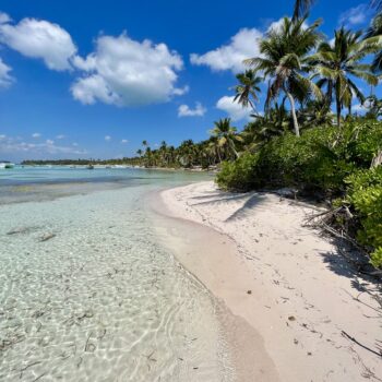 White sand beach with leaning palm trees, a scenic spot on Saona Island