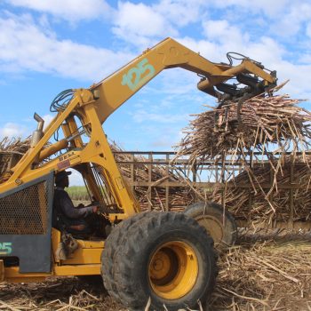 Tracteur canne à sucre
