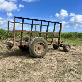 Wagon