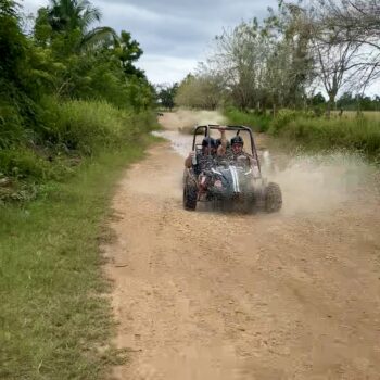 Buggy boue