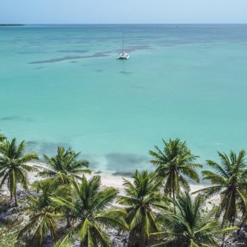 Catamaran passing near a tropical beach lined with palm trees in the Dominican Republic