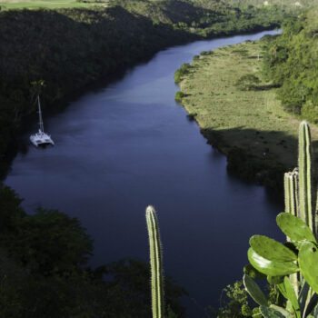 MG_7985.jpg