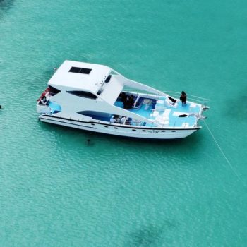 Motorized catamaran natural pool