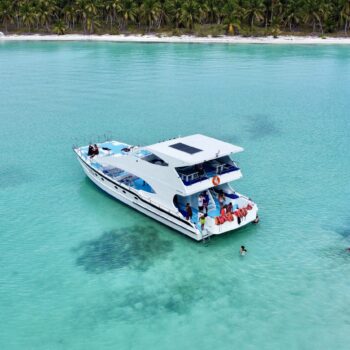 Motorized catamaran