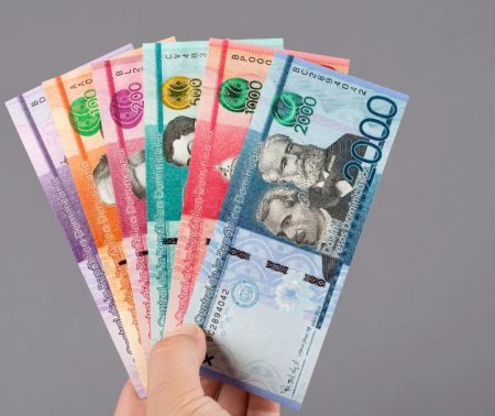 DOMINICAN PESOS