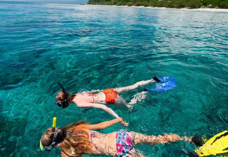 Snorkeling republique dominicaine