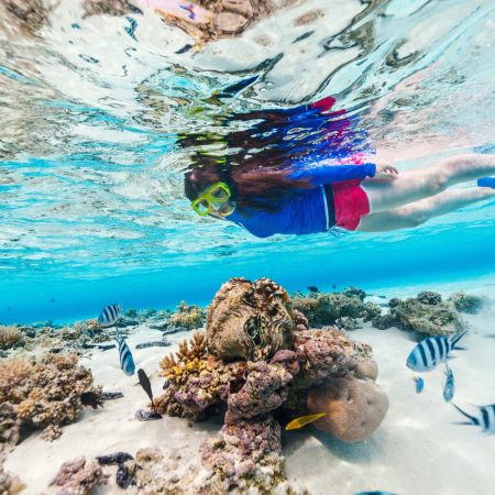Woman snorkeling above colorful coral and tropical fish near Catalina Island — part of the underwater exploration with Quetzal Excursions