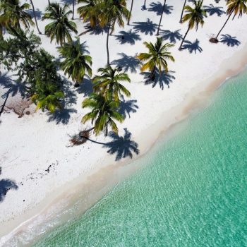 Aerial view of Saona Island with white sand beach, turquoise water, and palm trees casting shadows — featured in Quetzal Excursions' Saona Economical tour