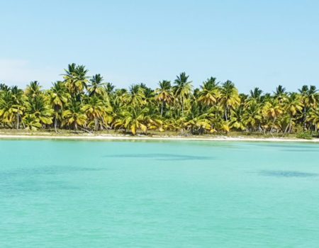 Blue water and green mangroves seen near Saona Island during eco-friendly speedboat tou