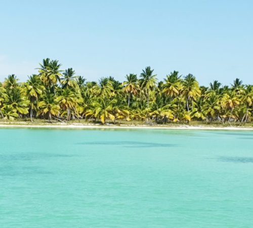 Blue water and green mangroves seen near Saona Island during eco-friendly speedboat tou