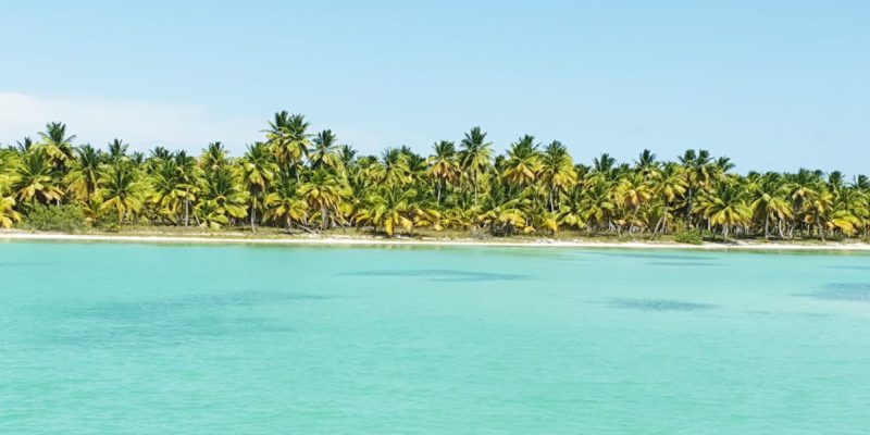 Blue water and green mangroves seen near Saona Island during eco-friendly speedboat tou