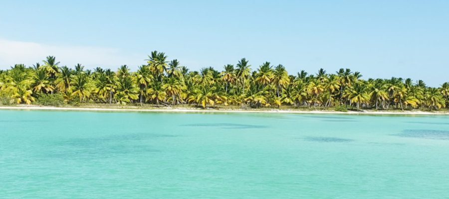 Blue water and green mangroves seen near Saona Island during eco-friendly speedboat tou