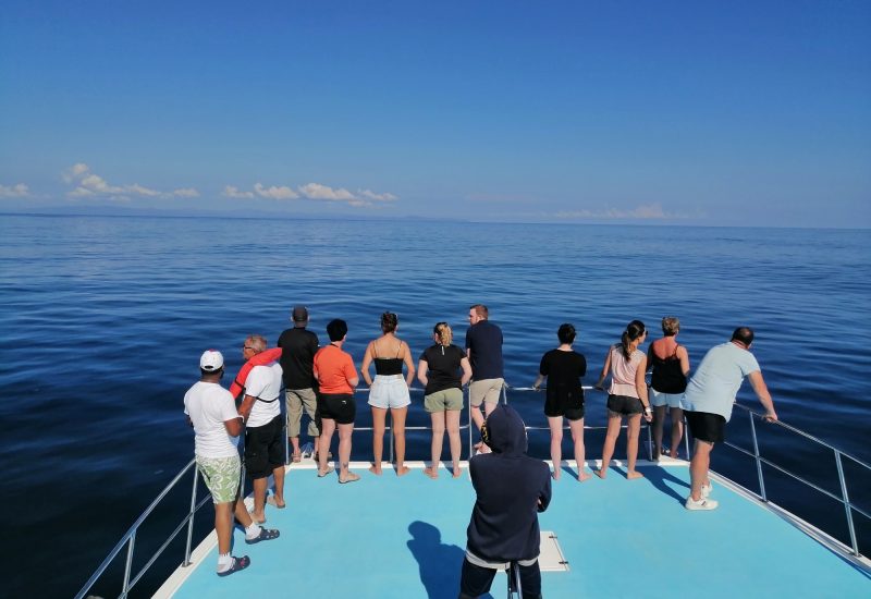 Group of tourists watching whales from a boat deck during excursion to Samaná