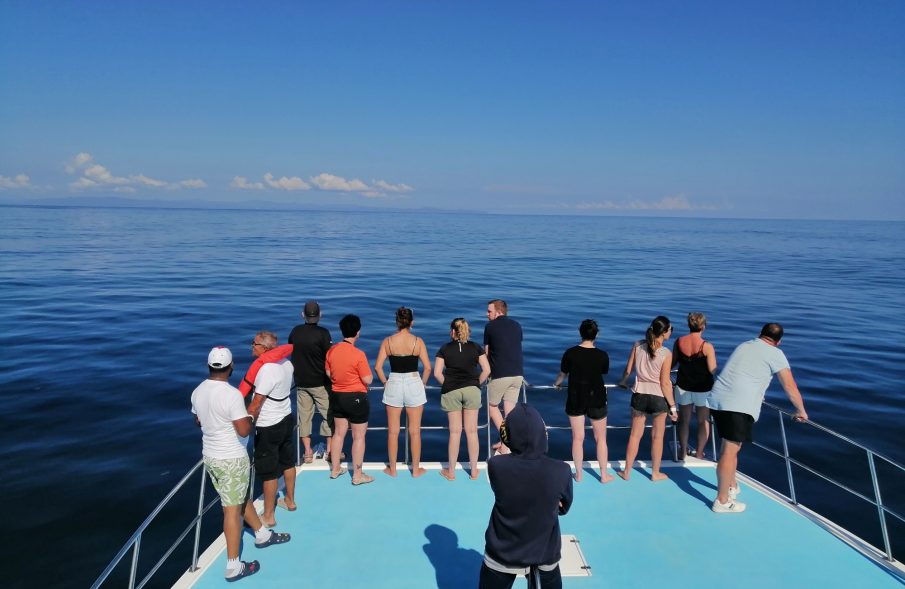 Group of tourists watching whales from a boat deck during excursion to Samaná