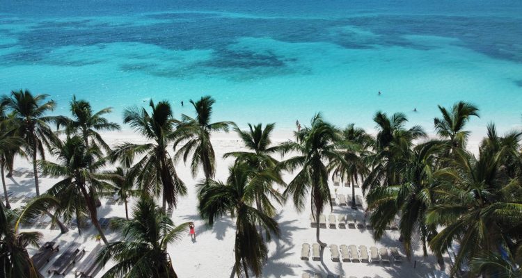 plage et Cocotiers de l'ile de Saona vu du haut