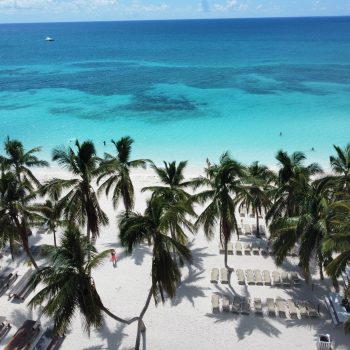 Aerial view of Saona Island beach with palm trees, sun loungers, and turquoise water — a relaxing moment during the Saona Economical excursion by Quetzal Excursions