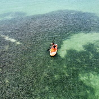 dji_fly_20230727_155016_826_1690487432457_photo_optimized.jpeg