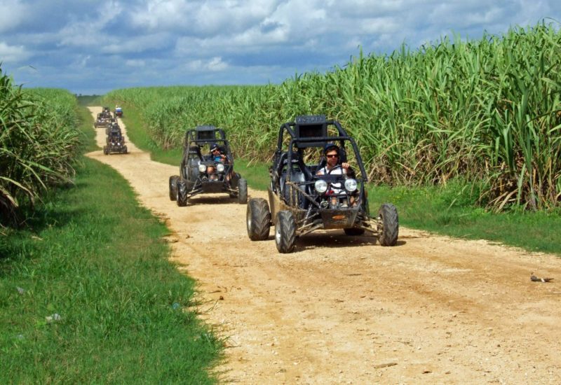 Line of buggies driving through wide dusty trails in the Dominican sugar cane region during sunset tour