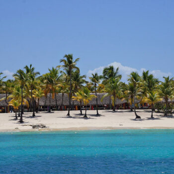 Palm-lined white sand beach and turquoise water on Catalina Island — a tropical paradise explored with Quetzal Excursions