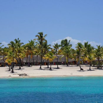 Palm-lined white sand beach and turquoise water on Catalina Island — a tropical paradise explored with Quetzal Excursions