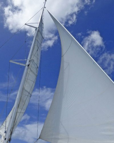 quetzal-cata-excursions-bayahibe-22-2