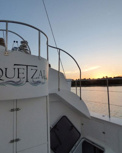 quetzal-cata-excursions-bayahibe-34-1