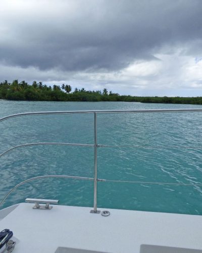 quetzal-cata-excursions-bayahibe-41-1