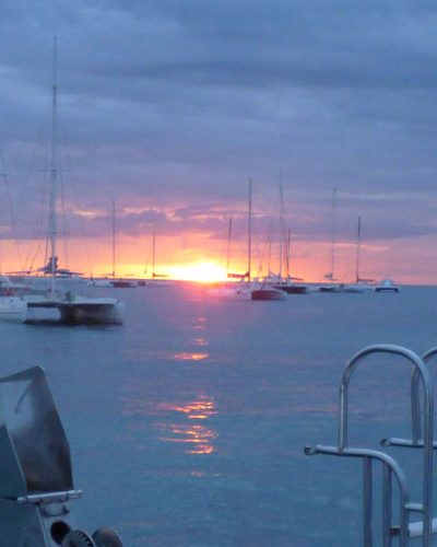 quetzal-cata-excursions-bayahibe-45-1