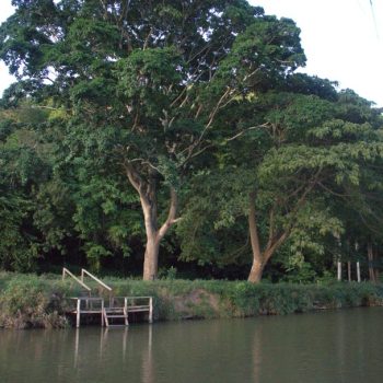 riviere chavon navigation
