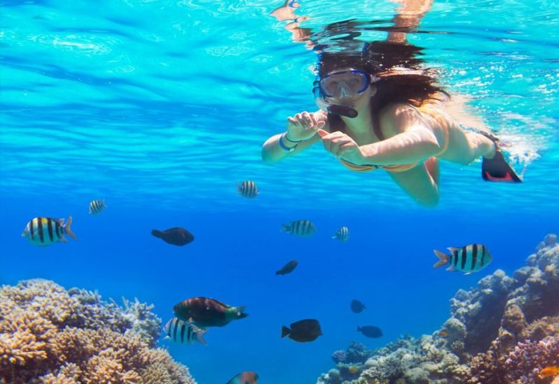 Woman snorkeling above colorful fish and coral reef near Catalina Island — an unforgettable underwater moment with Quetzal Excursions
